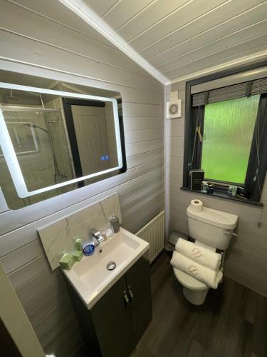 a bathroom with a toilet and a sink and a mirror at L02 - The Penrhyn Spa with Hot Tub in Bethesda