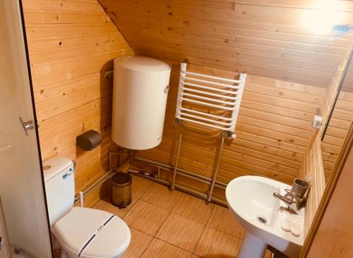 a small bathroom with a toilet and a sink at Villa Maria in Yablunytsya