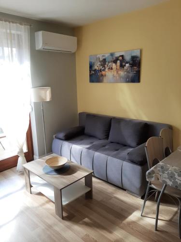 Χώρος καθιστικού στο Bodzafa Apartman