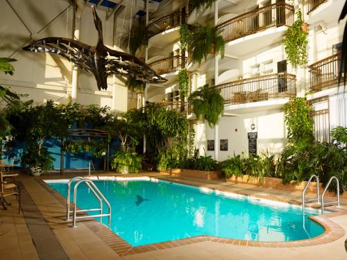 Bazén v ubytování Hotel L'Oie des neiges nebo v jeho okolí