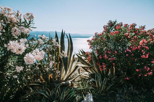 a group of flowers and plants with the ocean in the background at Althaia Hotel in Thermo