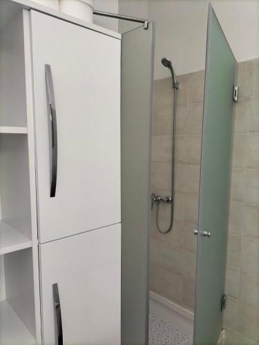 a bathroom with a shower with a glass door at Apartman Hanna in Ždrelac