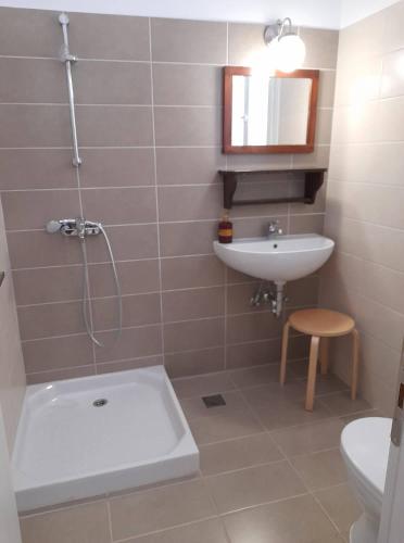 a bathroom with a shower and a sink and a toilet at Lemontree Apartments in Kassiopi