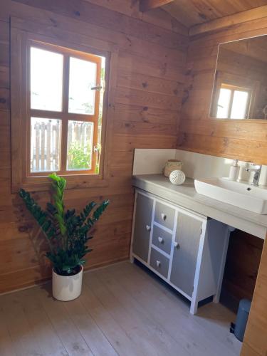 ein Bad mit einem Waschbecken und einem Spiegel in der Unterkunft DOMAINE DES GALLINACES CHALET SUSSEX 2-4p in Marigny-lès-Reullée