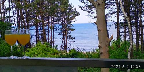 a glass of wine sitting on a table with a view of the ocean at SEA & YOU Apartament z widokiem na morze - Dwie Sosny in Ustronie Morskie