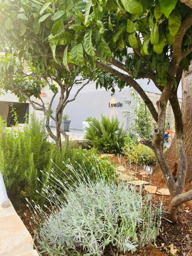 Taman di luar Apartmani Roxy