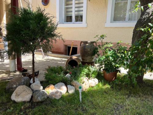 a garden with rocks and plants in front of a house at Guest House Han in Samarkand