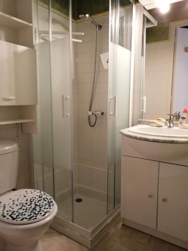 une salle de bain avec une douche, des toilettes et un lavabo dans l'établissement Maison à La Palmyre, proche commerces et plages, aux Mathes