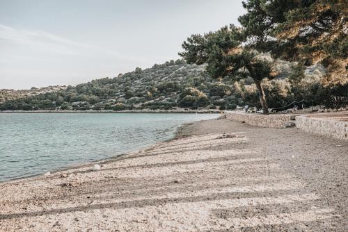 a rocky beach with trees and the water at Colentum Resort Murter in Murter