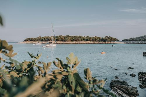 a view of a body of water with a sail boat at Colentum Resort Murter in Murter