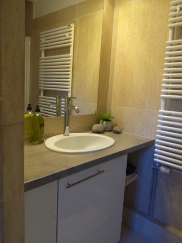 uma casa de banho com um lavatório e um espelho em Appart très cosy et confortable à Amélie les Bains em Amélie-les-Bains-Palalda
