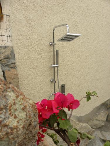 a plant in front of a shower with a flower at Villa Carlotta la Maddalena in La Maddalena