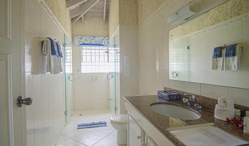 Seacruise Villa في Saint Lucy: حمام مع دش ومغسلة ومرحاض