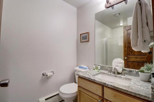a bathroom with a toilet and a sink and a mirror at CV210A Copper Valley Hotel Room condo in Copper Mountain