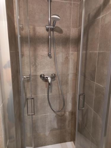 eine Dusche im Bad mit Glastür in der Unterkunft Le Loutin in Saint-Bonnet-en-Champsaur