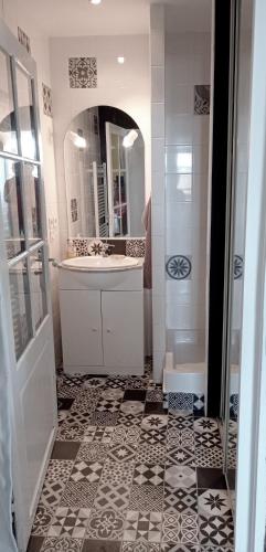une salle de bain avec un lavabo et un miroir dans l'établissement St ybars chez Annick et Alain, à Saint-Ybars