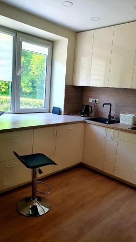 cocina con silla, fregadero y ventana en Luren, en Juodkrantė