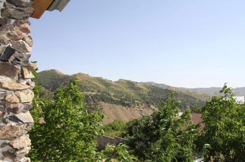 Havuts Tar Garden – Photos 2