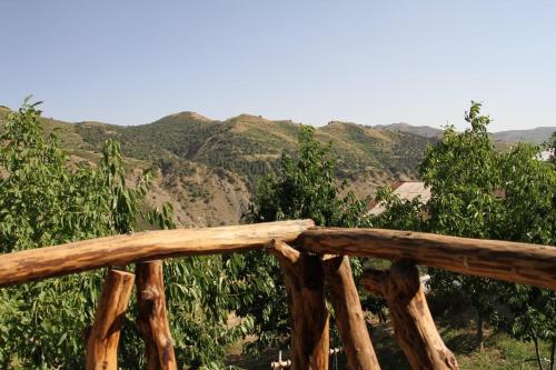 Havuts Tar Garden – Photos 5