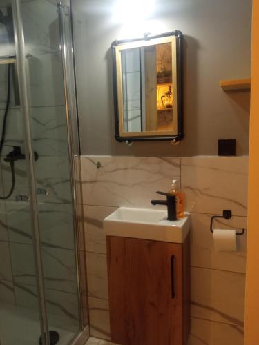 La salle de bains est pourvue d'un lavabo et d'une douche avec un miroir. dans l'établissement NightHost Robotnicza 32 m248 Wrocław, à Wrocław