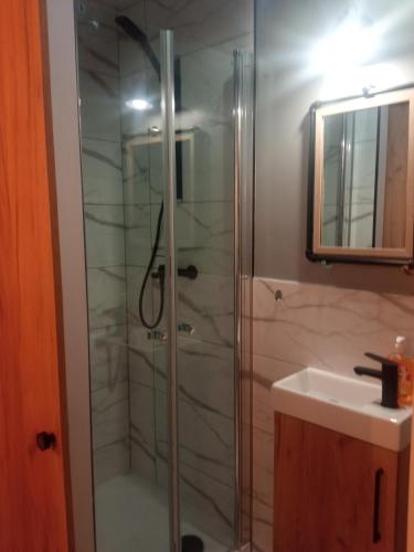 La salle de bains est pourvue d'une douche et d'un lavabo. dans l'établissement NightHost Robotnicza 32 m248 Wrocław, à Wrocław
