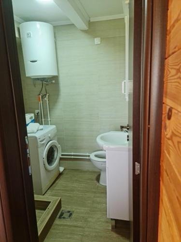 une petite salle de bain avec toilettes et lavabo dans l'établissement Holiday home Mountain, à Žabljak