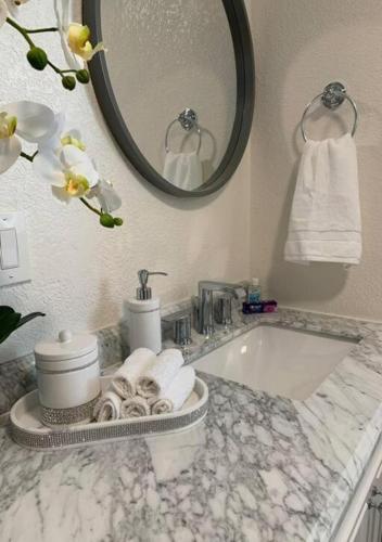 a bathroom counter with a sink and a mirror at Busch Gardens Bliss Suite -1 in Tampa