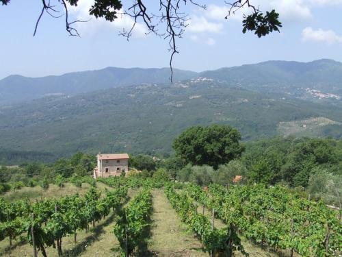Agriturismo Gorrieri – Photos 3