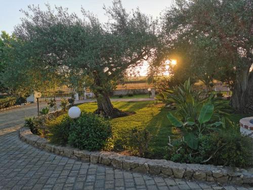 a park with a tree and a brick road at Villa Antonella in Augusta
