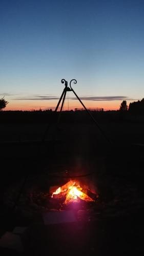 a fire pit in a field at sunset at Zagroda w Puszczy in Białowieża