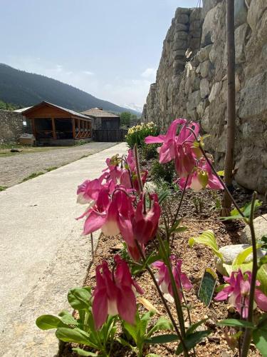 a bunch of pink flowers in front of a building at Mestia Residence in Mestia