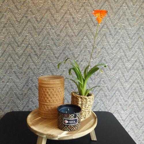 a plant sitting on a wooden table with a pot at Het Broekeroord in Wezep