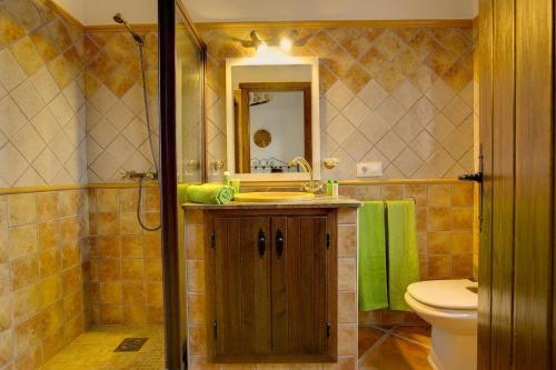 a bathroom with a sink and a toilet and a mirror at La Olgava in El Gastor