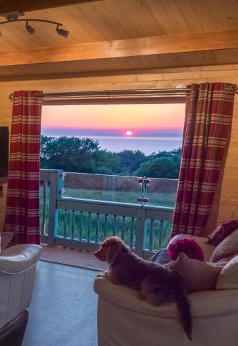 a dog sitting on a couch in front of a window at Enlli Fach cabin sleep's 2 adults and 2 children 2 dogs welcome not suitable for contract workers due to parking height restrictions in Borth