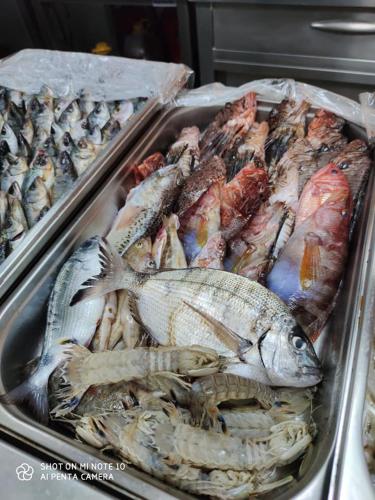 a tray of different types of seafood on display at Filocsenia luxury apartment at tsoutsouras in Tsoútsouros