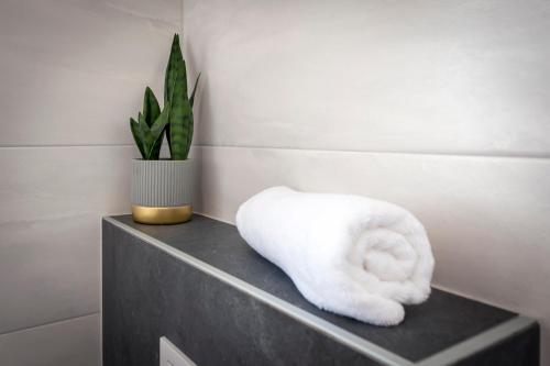 un asciugamano in bagno, seduto su una mensola di Apartments E&M a Pola (Pula)