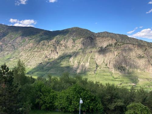 a mountain with a green field and trees in front of it at Roxy House - Apartamento a pie de pistas de Espot in Espot