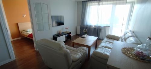 Cozy Family Apartment