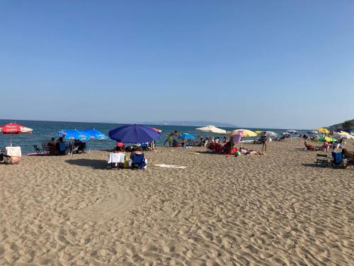 Gambar di galeri bagi BossPort Hotel di Tekirdağ