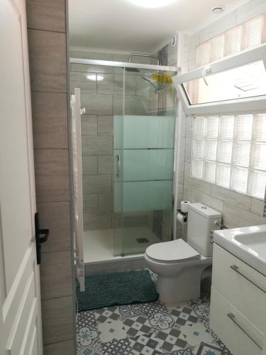 une salle de bain avec une douche, des toilettes et un lavabo dans l'établissement Promotion du Jour - Le Figuier, à Deuil-la-Barre