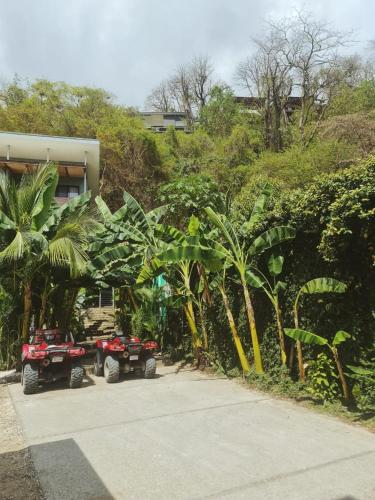 Coral Apartments – Photos 3
