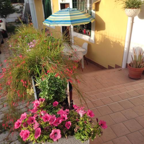 a patio with pink flowers and an umbrella at Vento e Amore in Baronissi