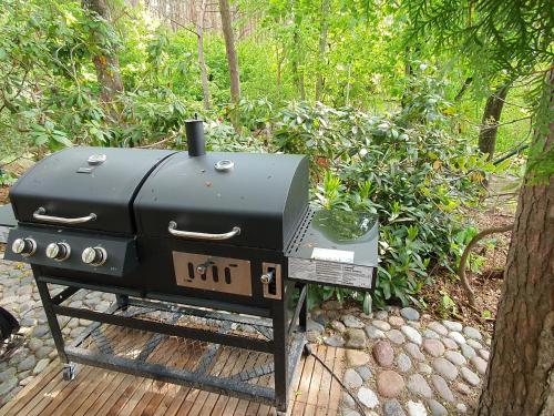 a grill sitting on a deck next to a plant at Small resort Pini & SPA in Jūrmala