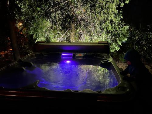 a person in a hot tub with a purple light in it at Small resort Pini & SPA in Jūrmala