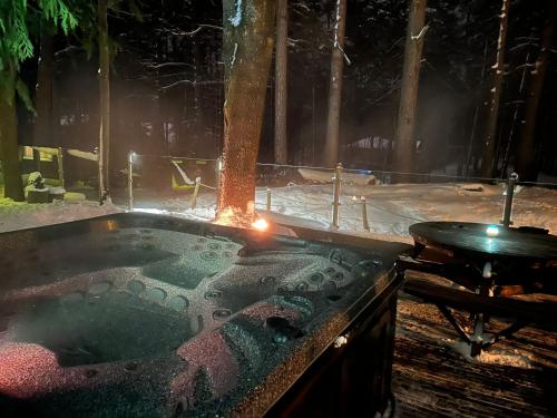 a hot tub in the woods at night at Small resort Pini & SPA in Jūrmala