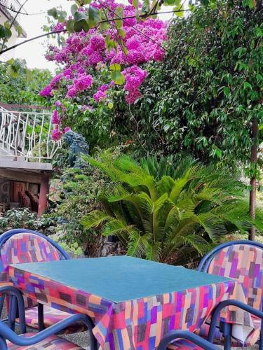 Privatan smeštaj Igalo في إيغالو: طاولة وكراسي مع طاولة زرقاء وورود وردية