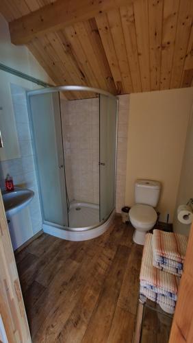 a bathroom with a shower and a toilet and a sink at Jaunveiti in Bernāti