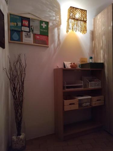una habitación con un estante y una luz en la pared en Casa do Doque, en Vila Nova de Foz Cõa
