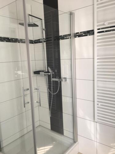 a shower with a glass door in a bathroom at Ferienwohnungen Honberg in Tuttlingen