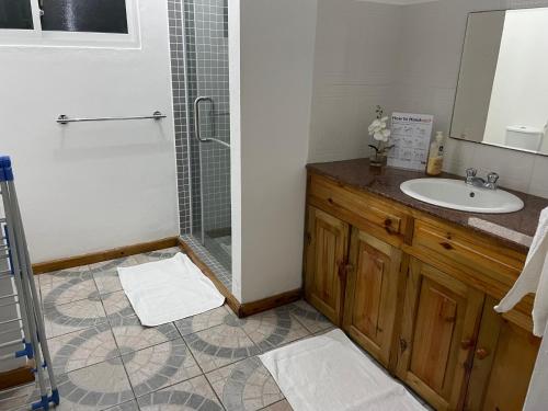 a bathroom with a shower and a sink at MARL Self Catering in Pointe Larue